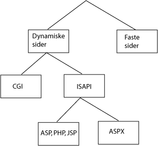 webstruktur1